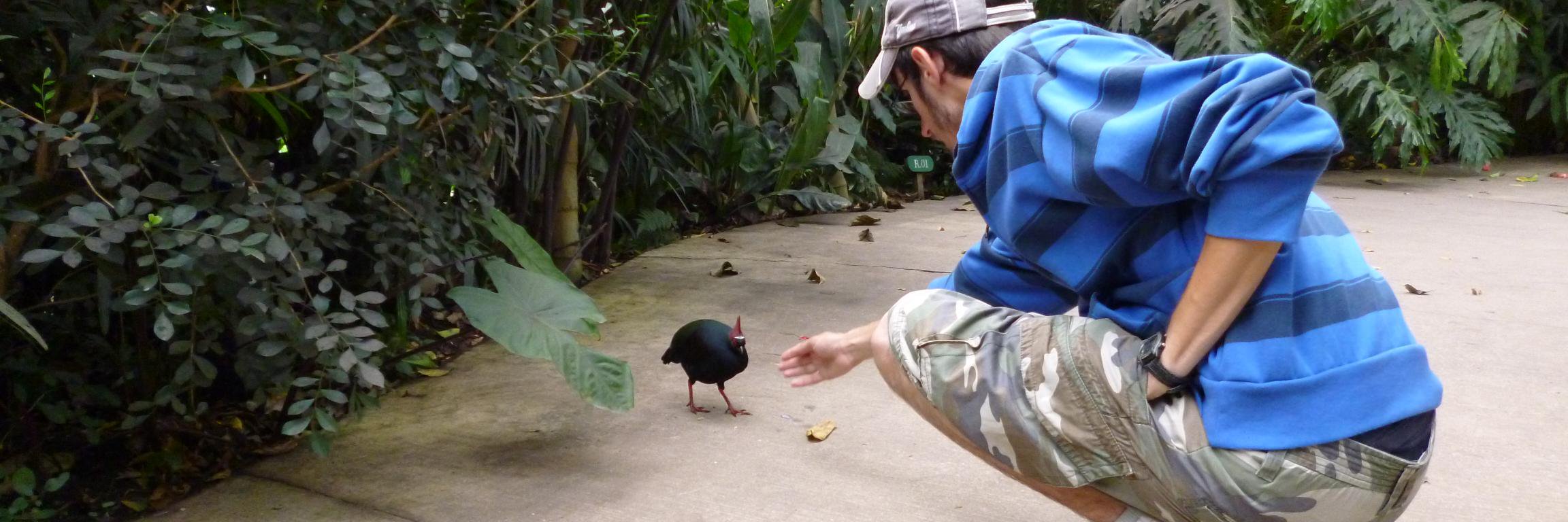 Richard Socks 💚 banner