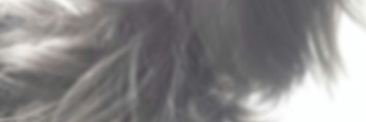 Aurelyapb's profile banner image