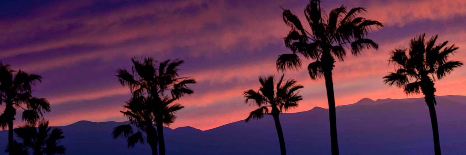 neilcorso's profile banner image