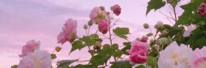 jy5666's profile banner image