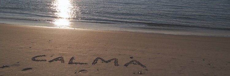 Valeria Bolla banner