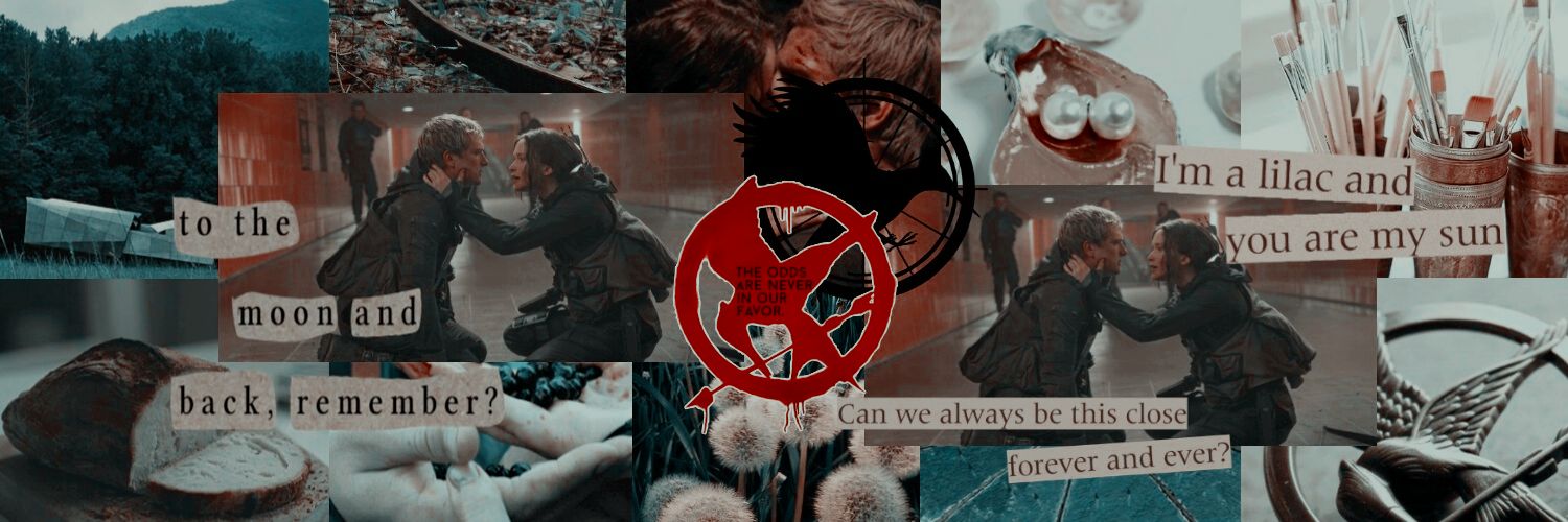 dᥲᥒι ❁ banner