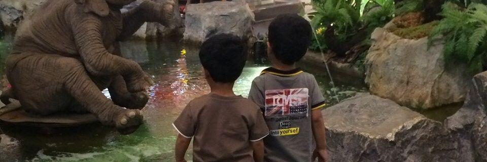 umhamedd's profile banner image