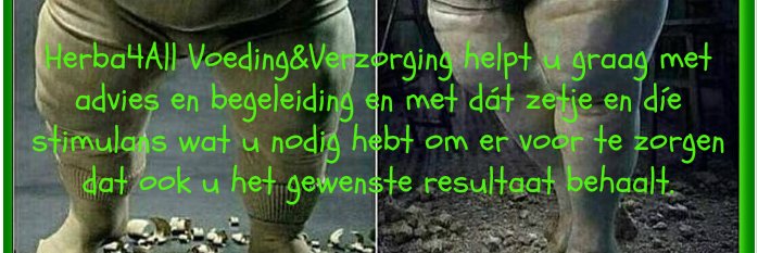 herba4all's profile banner image
