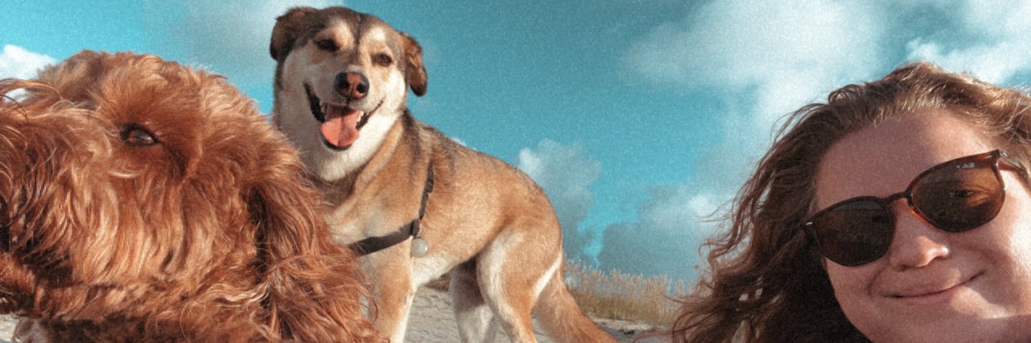 chyyannn's profile banner image