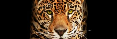 asaad_mohamd's profile banner image