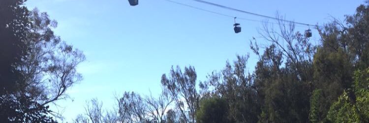 msSarahP14's profile banner image