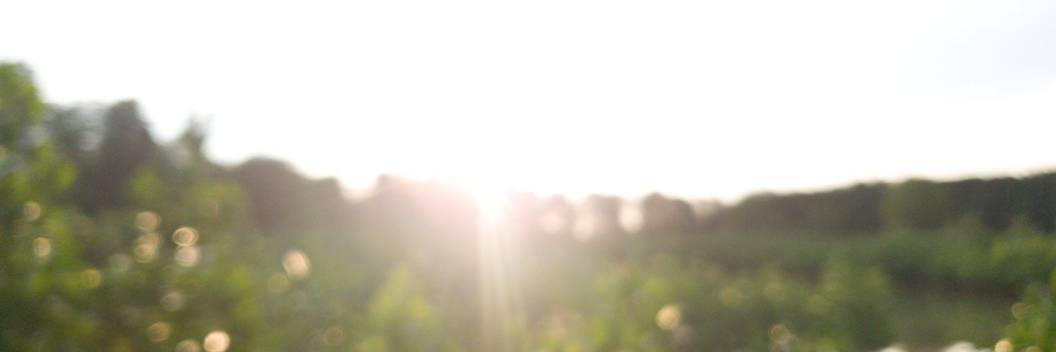 NH_STORY's profile banner image