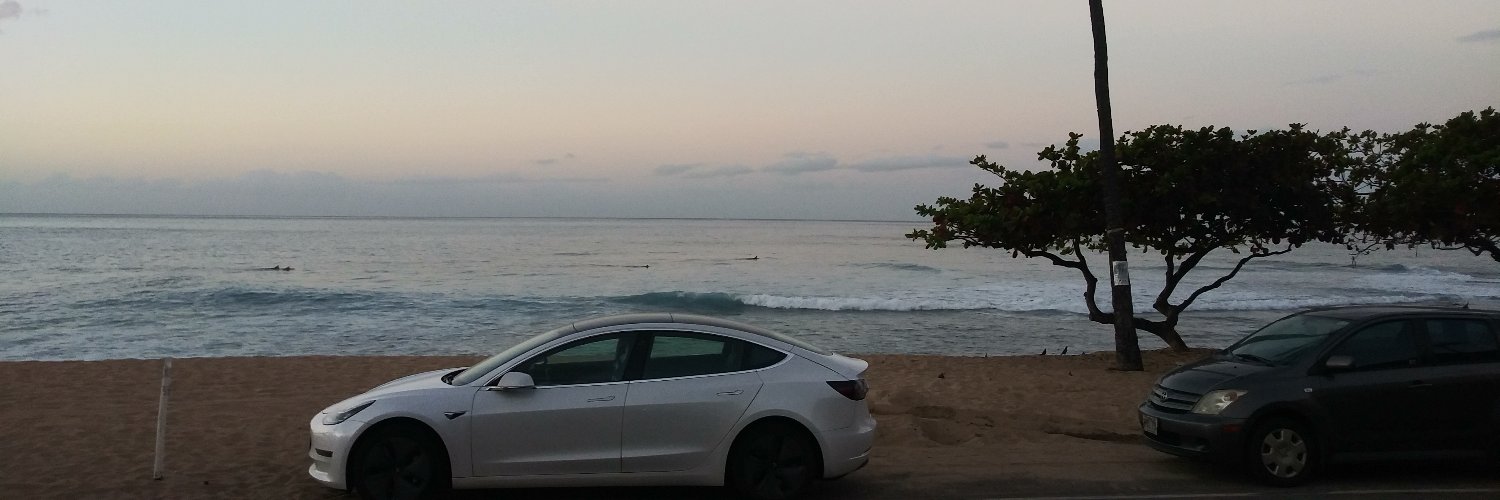_auntylex_'s profile banner image