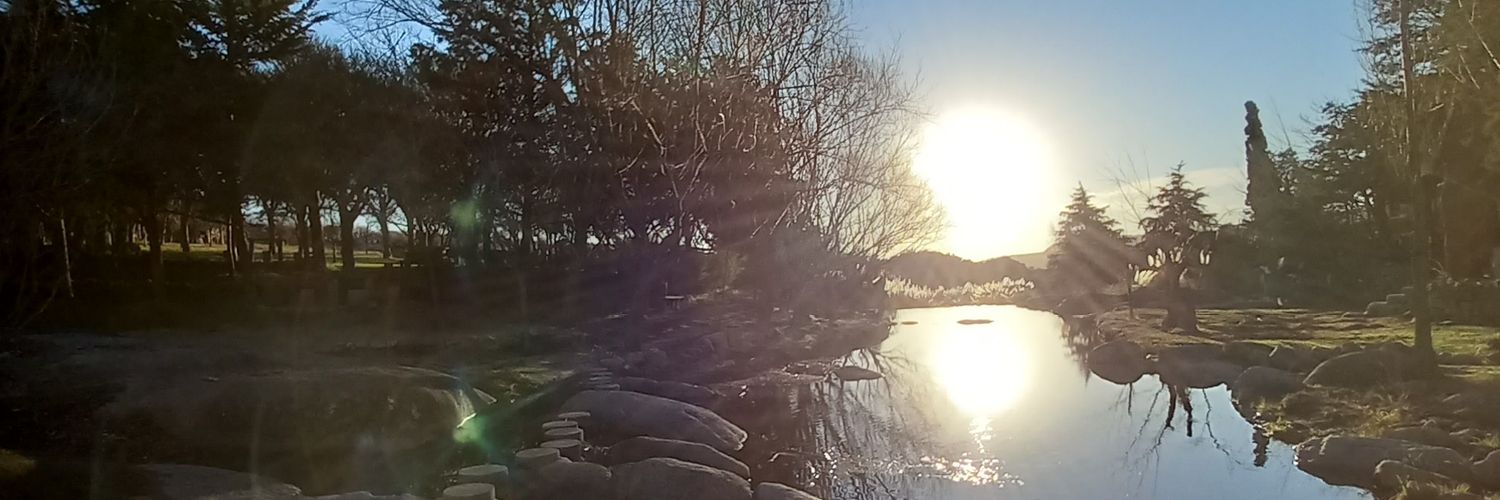 AyeCamiletti's profile banner image