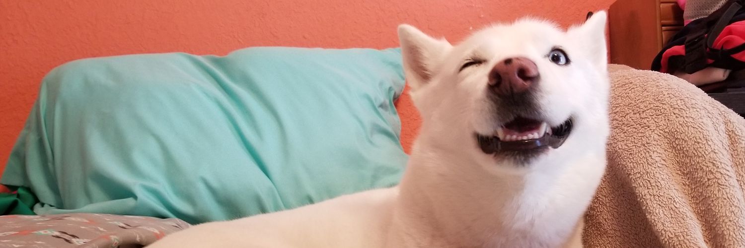BarajasEdith23's profile banner image