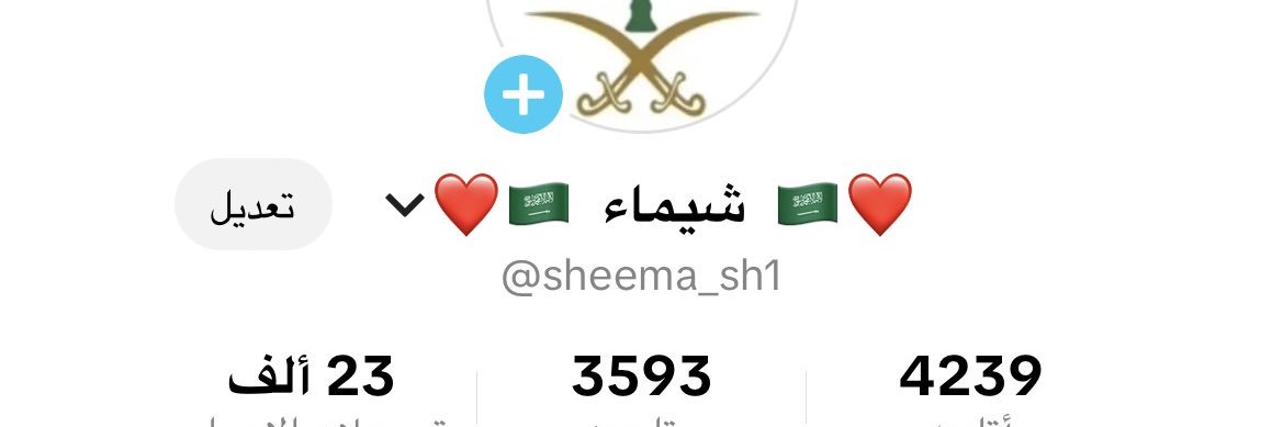 Loole4000Sheem's profile banner image