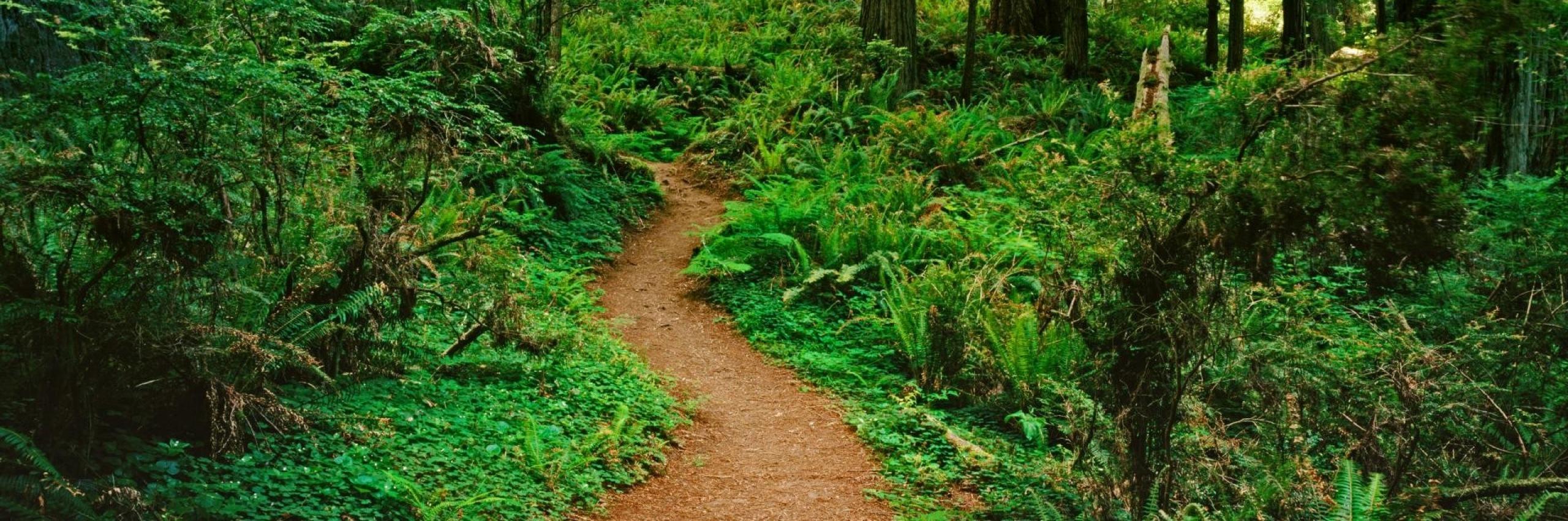trailrunr_'s profile banner image