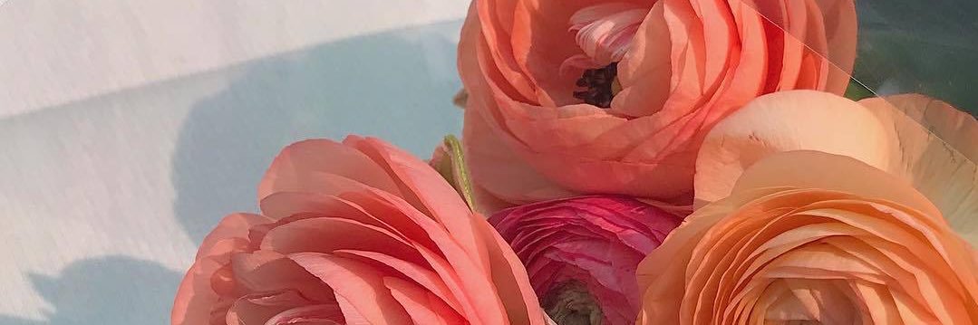 23saaaki's profile banner image