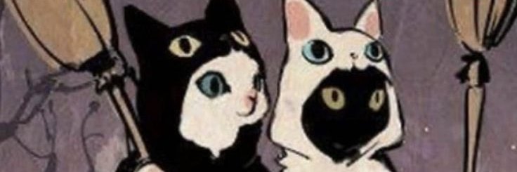 Davidmigueel's profile banner image