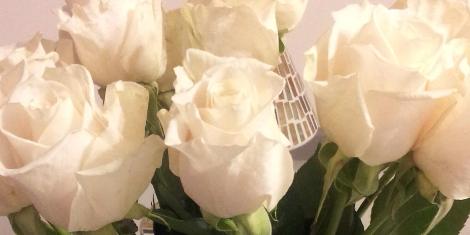 KristinAnne48's profile banner image