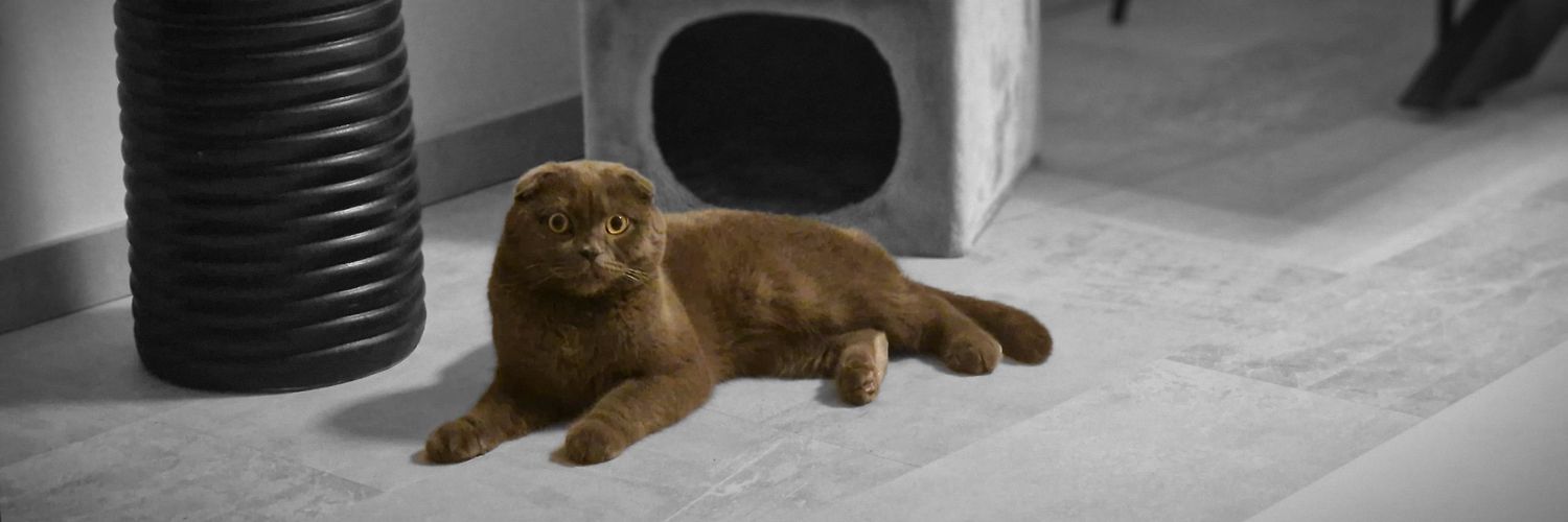 tayfunkaya41's profile banner image
