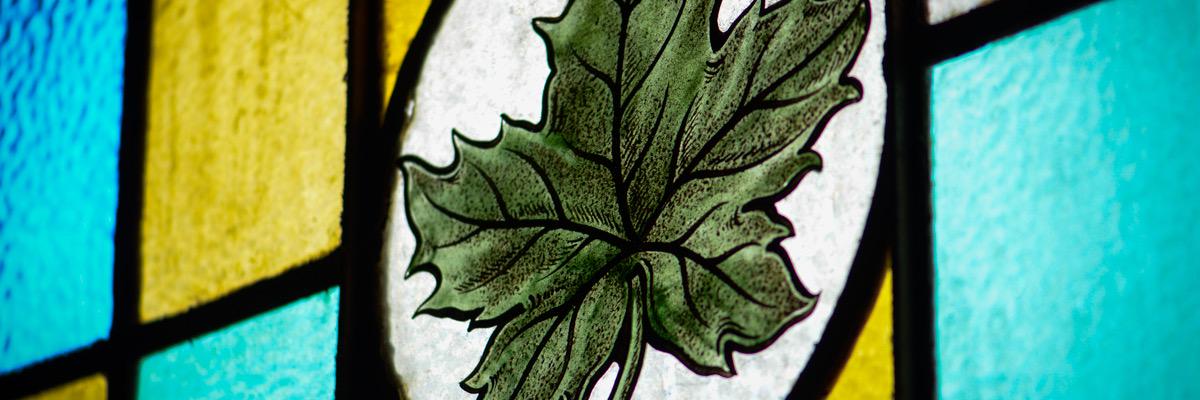 MapleLeafTavern's profile banner image