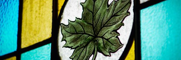 MapleLeafTavern Profile Banner