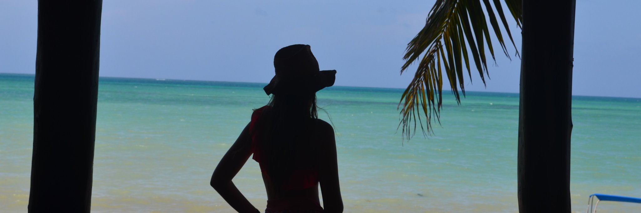 MarinaMiroLL's profile banner image