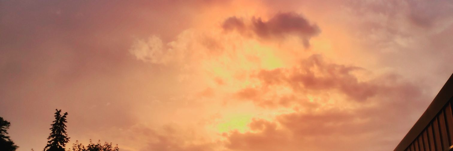 ororx2's profile banner image