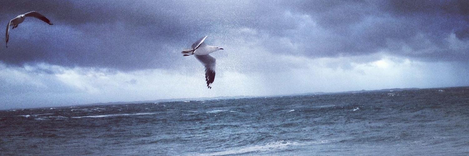 LoveFreo's profile banner image