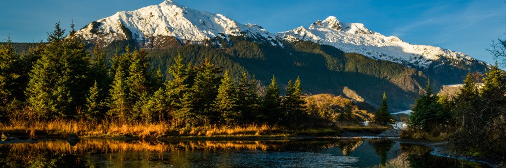 Tom Kroscavage banner