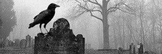 senkimpislik's profile banner image