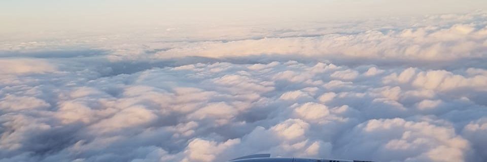 Rozeis's profile banner image