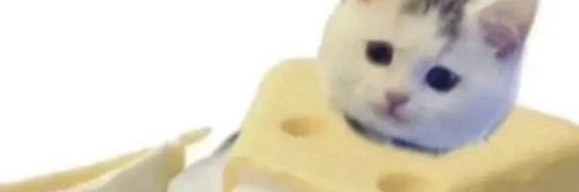 ブロ・ソー・チーズ🧀 banner