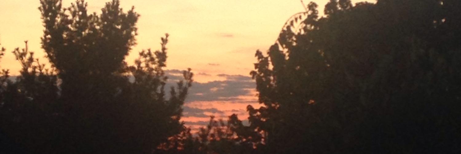 Livingrichbut's profile banner image