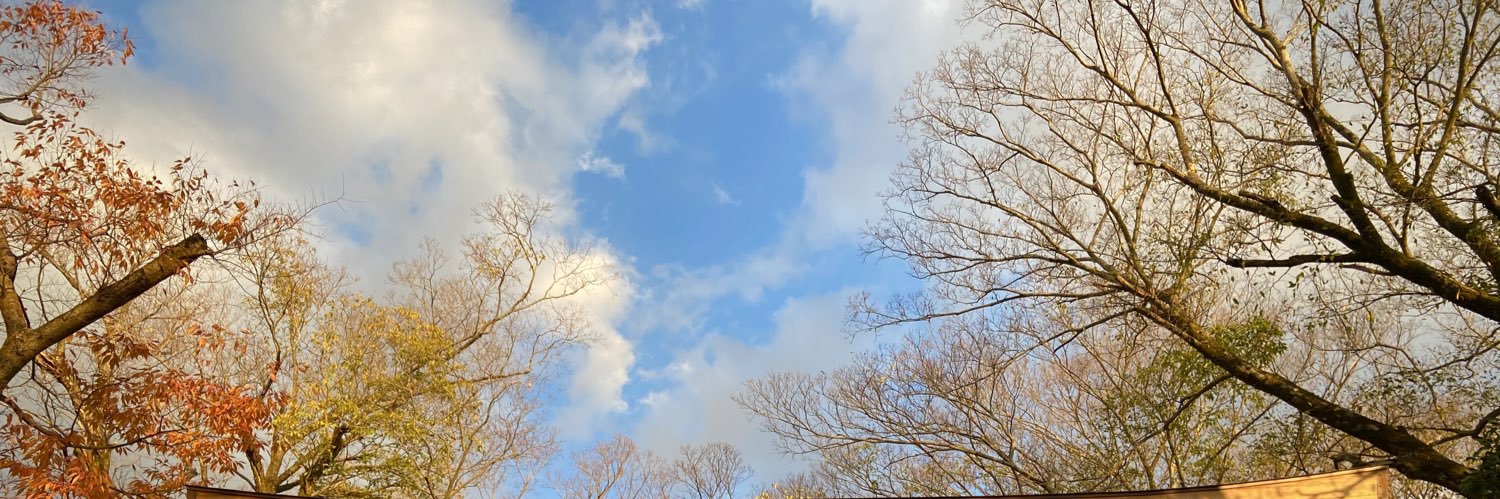 PONTAMAO's profile banner image