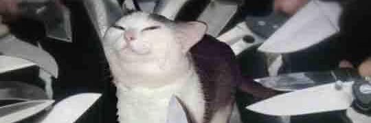 KatxDude's profile banner image