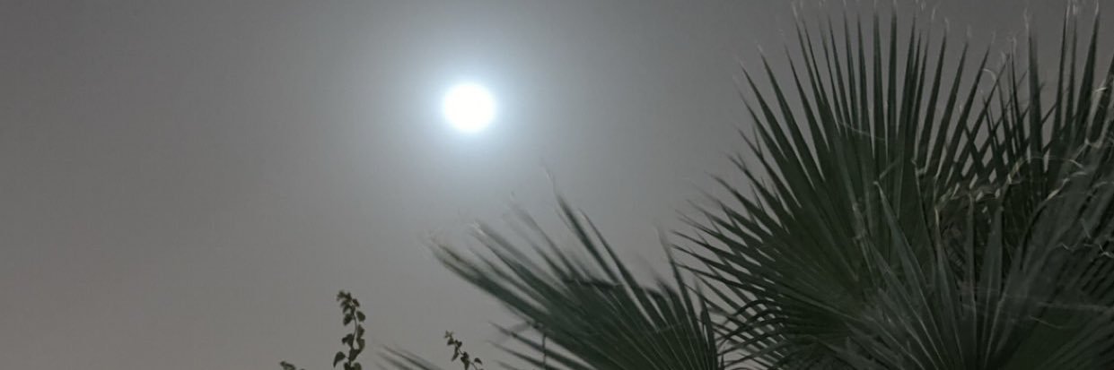 م. فيصل بن ناصر banner