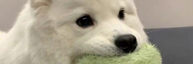 butterbluez_'s profile banner image