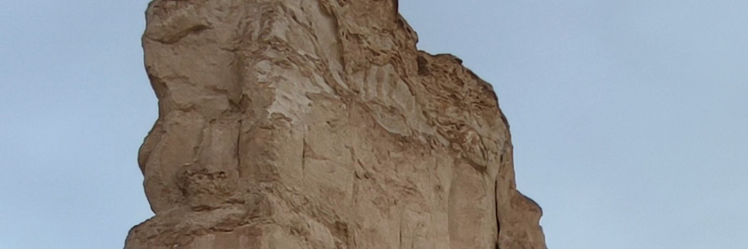 masharykhalid's profile banner image