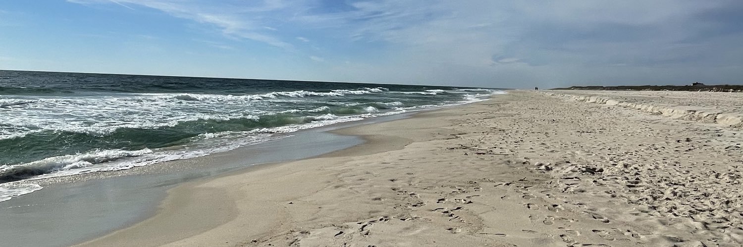 Surfing_sequins's profile banner image