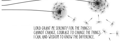 Elizabeth Serletic banner