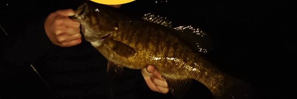 lybfl Profile Banner