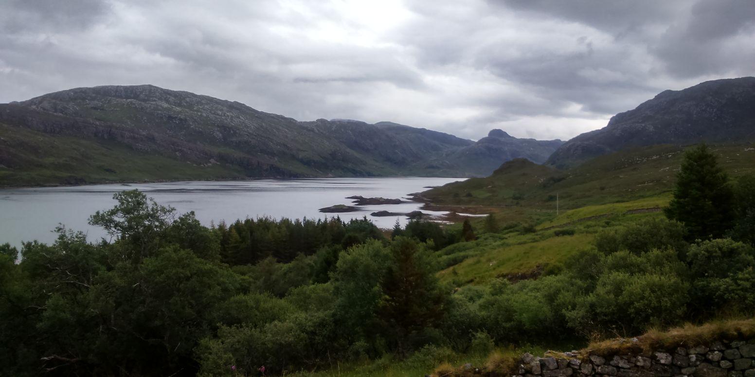 Steve Franklin banner