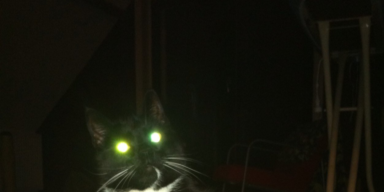 Bas Goedendorp banner