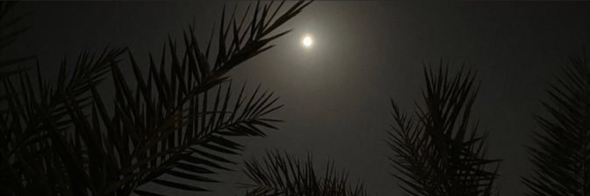 Sh_11ix's profile banner image