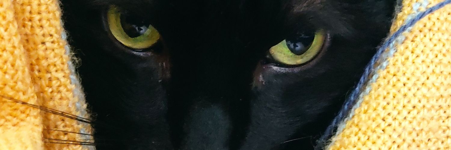 lfhp3's profile banner image