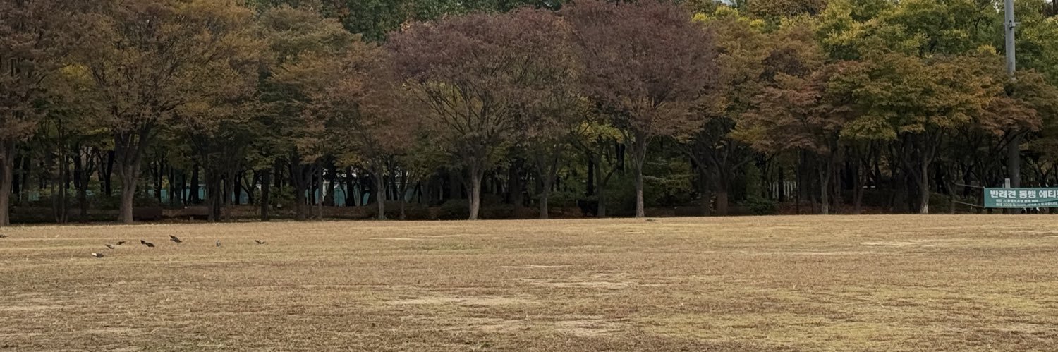 Mimizers's profile banner image