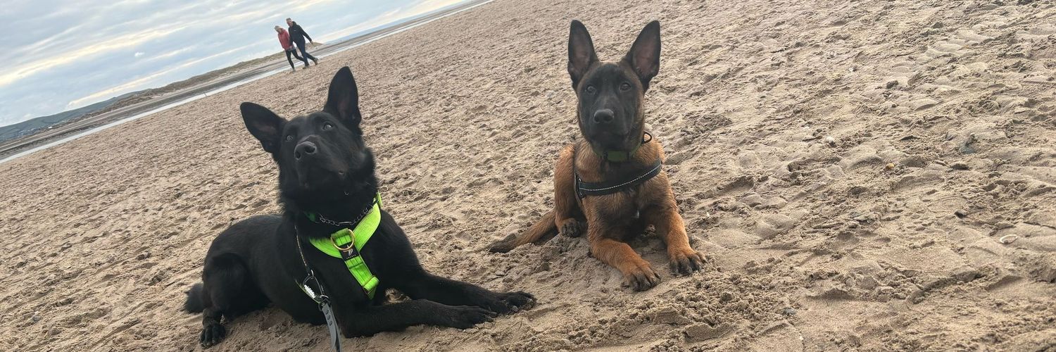 Xray-Sierra Two Zero (former) banner