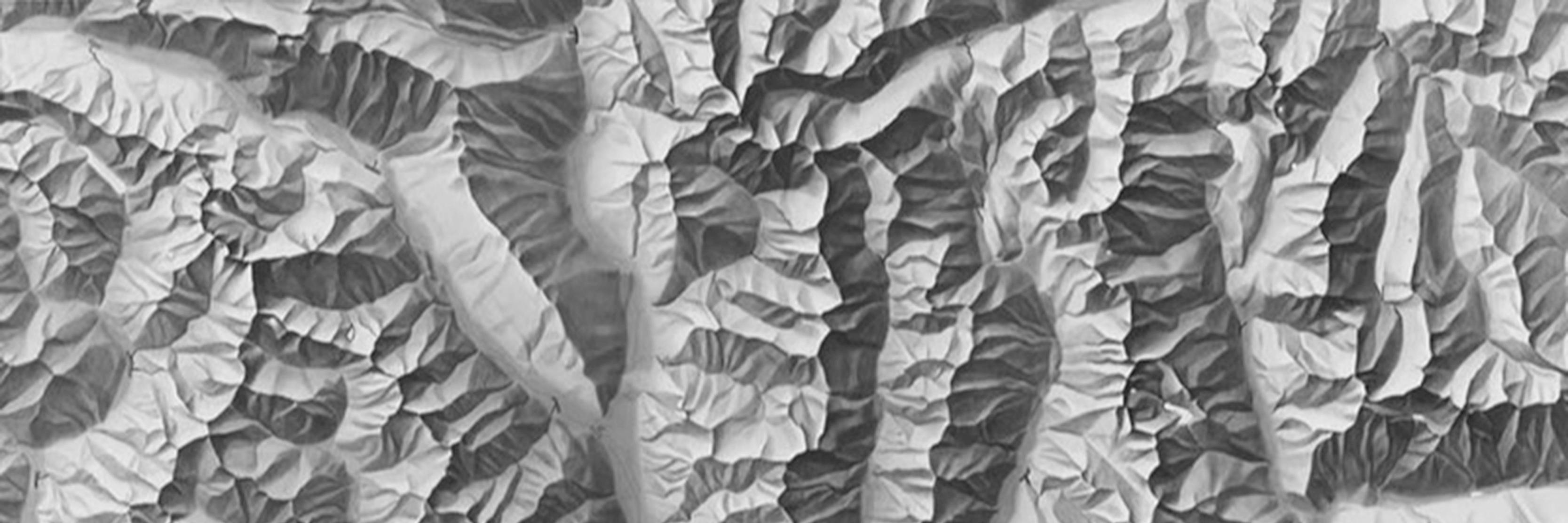 Brooke E. Marston banner