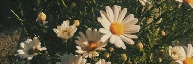 isabelaxxm's profile banner image