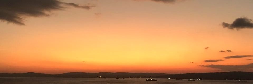 🥀 banner