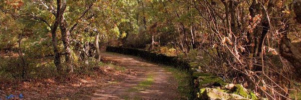 adisgata Profile Banner