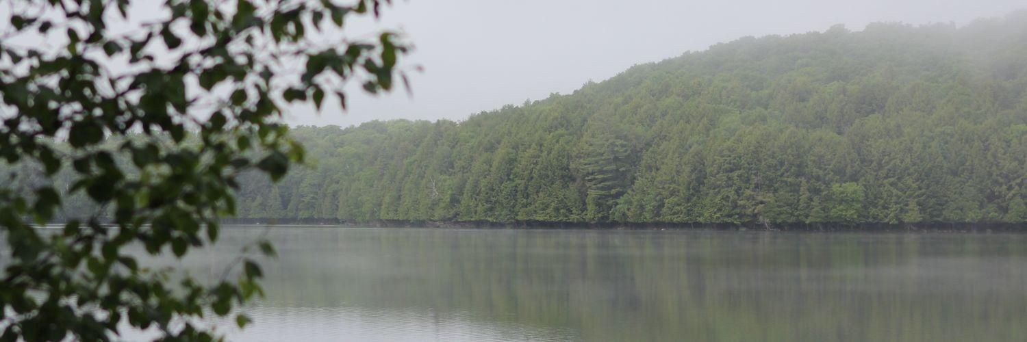 WanderLostClub's profile banner image